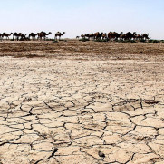 مطالبه احیای تالاب بین‌المللی جازموریان